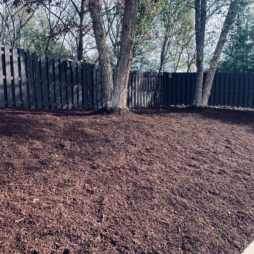 Mulch and Topsoil: Give Plants the Most Nutrients - Georgia